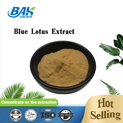 Plantenextract Poeder Blauw Lotus Extract