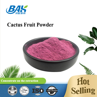 99.15% cactus Purper Rood Fruit en Plantaardig Poeder Halal ISO