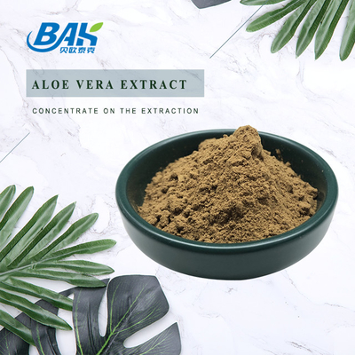 BAK High Quality Pass 80 Mesh Artemisia Argyi Leaf Extract Donkerbruin Poeder Anti Cruor