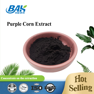 BAK Factory Groothandel Anthocyanine 35% Zea Mays Purple Corn Extract Dark Purple Powder