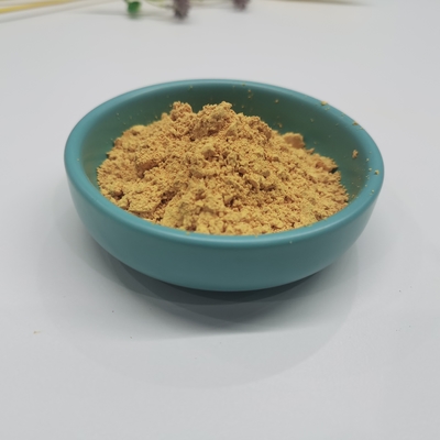 Silymarine Leverbeschermingssupplement Mariadistel-extract