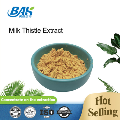 Bulk 80% silymarienextract van melkdistelpoeder