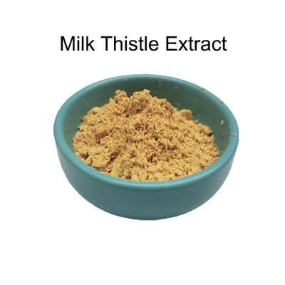 Bulk 80% silymarienextract van melkdistelpoeder