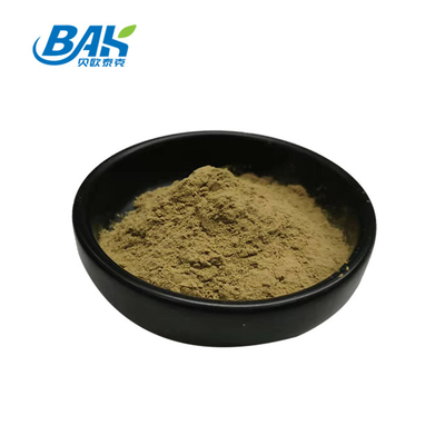 Fabriek Groothandel Puur Peppermint Extract Immuunversterkende Supplementen Mentha Haplocalyx Briq Bruin Poeder