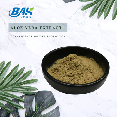 Fabriek Groothandel Puur Peppermint Extract Immuunversterkende Supplementen Mentha Haplocalyx Briq Bruin Poeder