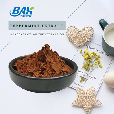 BAK Warm verkoop Zwarte thee extract Roodbruin poeder 10% 20% 60% 80%