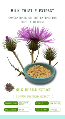 Silymarine Leverbeschermingssupplement Mariadistel-extract