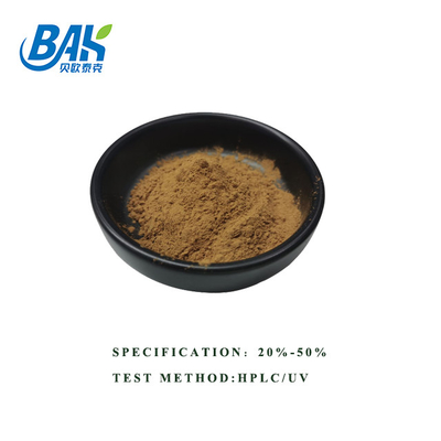 Warm verkoop HPLC UV Bacopa Monnieri Extract Bruin Geel Poeder 100% Pass 80 Mesh