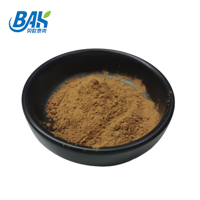 Warm verkoop HPLC UV Bacopa Monnieri Extract Bruin Geel Poeder 100% Pass 80 Mesh