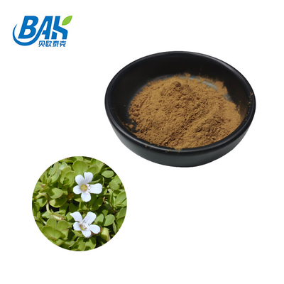 Warm verkoop HPLC UV Bacopa Monnieri Extract Bruin Geel Poeder 100% Pass 80 Mesh