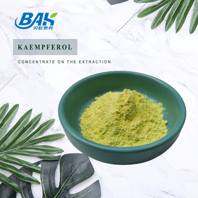 BAK Hoge kwaliteit Cas 520-18-3 Immuunversterkende supplementen Kaempferol poeder 50% 90% 98%