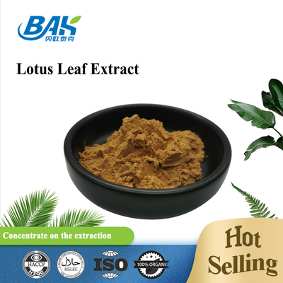 Nuciferine Lotus Leaf Extract Powder Supplement Kosjer Halal