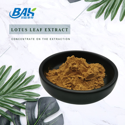 Nuciferine Lotus Leaf Extract Powder Supplement Kosjer Halal