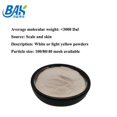 CAS 9064-67-9 Peptide van het Vissencollageen Poeder Kosmetische Grondstoffen