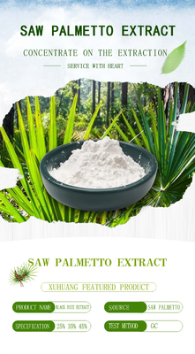 25% - 85%-het de Gezondheidssupplement van Mensen zag Palmetto-het Poeder van het Fruituittreksel