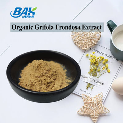 Organic Grifola Frondosa Extract Beta Glucan 70% Champignon Extract Supplement UV VIS Poeder