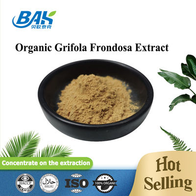 Organic Grifola Frondosa Extract Beta Glucan 70% Champignon Extract Supplement UV VIS Poeder