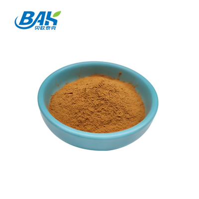 Biologisch Coriolus Versicolor Mushroom Extract Supplement Bruin Geel Poeder