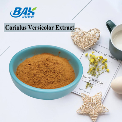10%-50% van het de Paddestoeluittreksel van Coriolous Versicolor het Supplement Bruin Geel Poeder