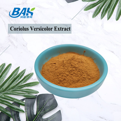 10%-50% van het de Paddestoeluittreksel van Coriolous Versicolor het Supplement Bruin Geel Poeder