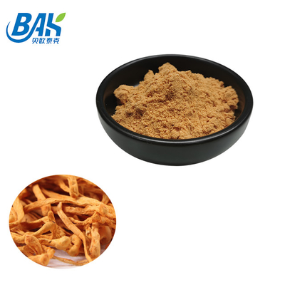 80 tot 120 Mesh Cordyceps Militaris Extract Powder Factory Supply