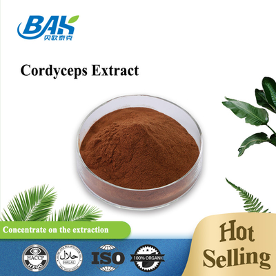 Van het de Gezondheidssupplement van Cordycepin5% 10% 20% Mensen het Uittreksel Bruin Poeder van Cordyceps