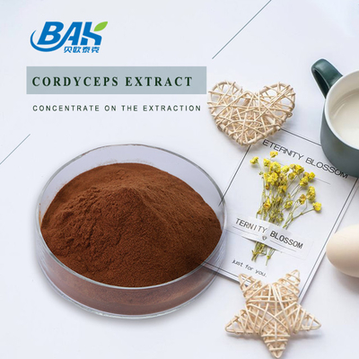 Van het de Gezondheidssupplement van Cordycepin5% 10% 20% Mensen het Uittreksel Bruin Poeder van Cordyceps