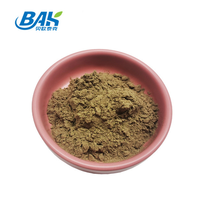 BAK Bodybuilding Ajuga Turkestanica-extract 2% Turkesteronpoeder