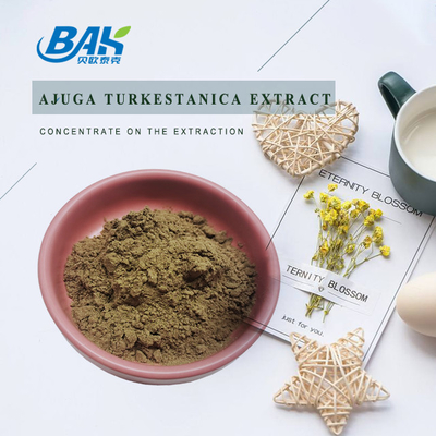 Uittreksel 2%-20% van Ajugaturkestanica