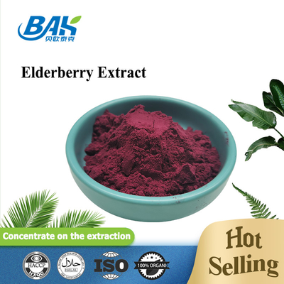5% Anthocyanine Extract Supplement Paars Rood Elderberry Extract Poeder