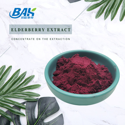 5% Anthocyanine Extract Supplement Paars Rood Elderberry Extract Poeder