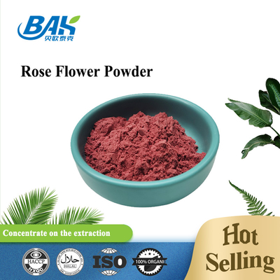 Rosa Rugosa Natural Cosmetic Ingredients Rose Flower Powder 80 Netwerk