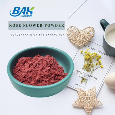 Rosa Rugosa Natural Cosmetic Ingredients Rose Flower Powder 80 Netwerk