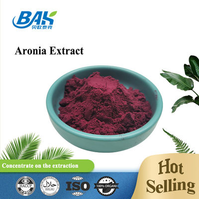 BAK Aronia Extract 25% Anthocyanine Extract Supplement Paars Rood Poeder