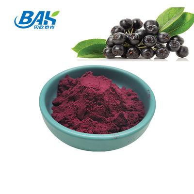 BAK Aronia Extract 25% Anthocyanine Extract Supplement Paars Rood Poeder