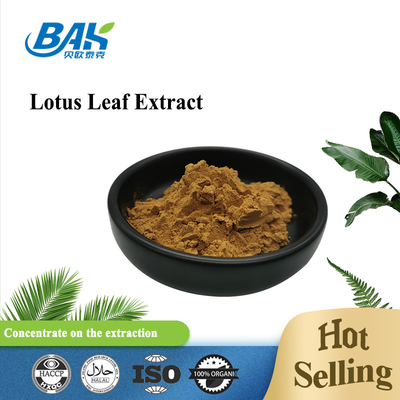 Lotus Leaf Extract Weight Loss-Supplementpoeder