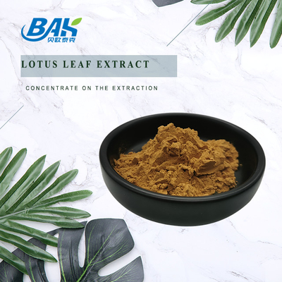 Lotus Leaf Extract Weight Loss-Supplementpoeder