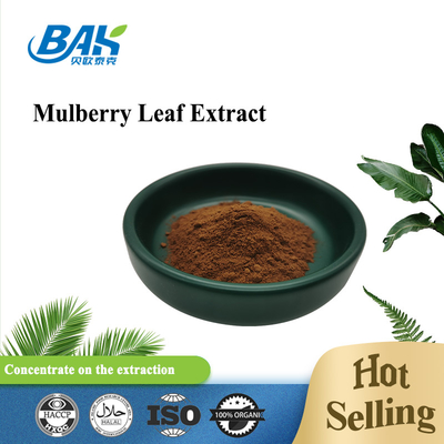 BAK Factory Groothandel Puur Fruit 10% Mulberry Leaf Extract Supplement Bruin Poeder