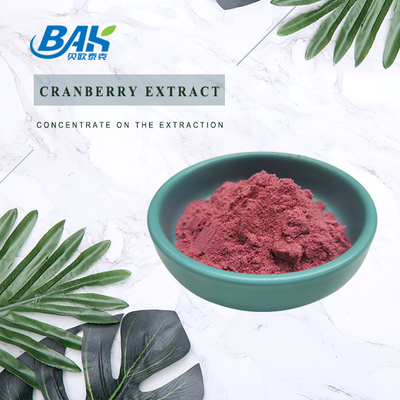 25% Anthocyanine Extract Supplement Natuurlijke Cranberry Extract Poeder