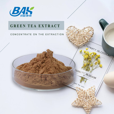 Polyfenol 10% - 98% groene thee extract poeder Cas 84650-60-2