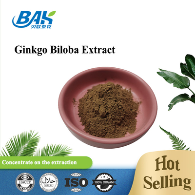 Ginkgo Biloba-extract Flavone Glycosiden 24% Terpeenfabrieken 6%