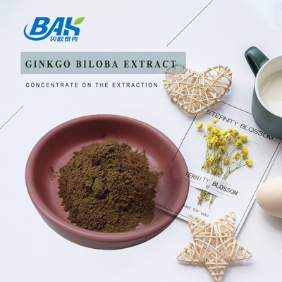 Ginkgo Biloba-extract Flavone Glycosiden 24% Terpeenfabrieken 6%