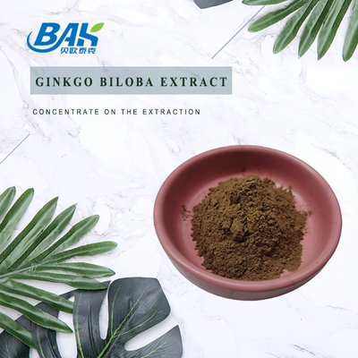 Ginkgo Biloba-extract Flavone Glycosiden 24% Terpeenfabrieken 6%