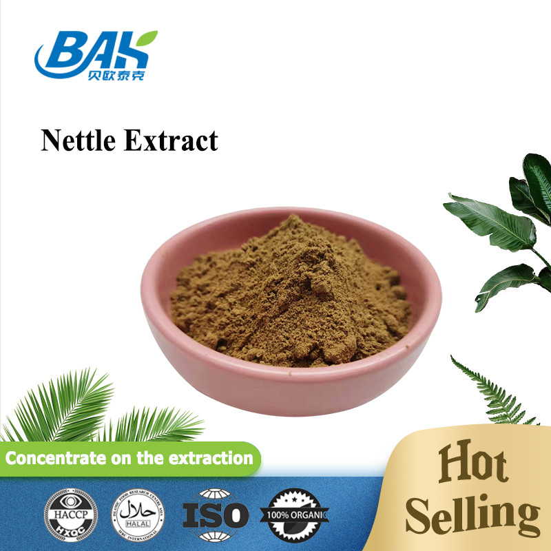 hoogwaardig extract van brandnetelbladeren 1,2% silica Biologisch extract van brandnetelwortel van voedingswaarde Poeder