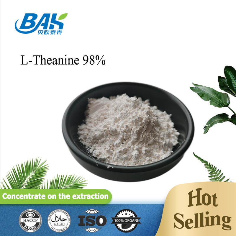 CAS NO 3081-61-6 Natuurlijk kruidenextract voor gezond eten Groene thee extract poeder Theanine 98% poeder