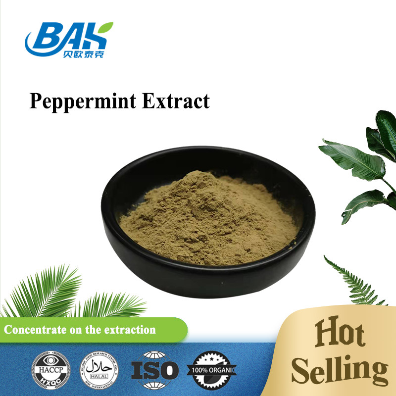 Fabriek Groothandel Puur Peppermint Extract Immuunversterkende Supplementen Mentha Haplocalyx Briq Bruin Poeder