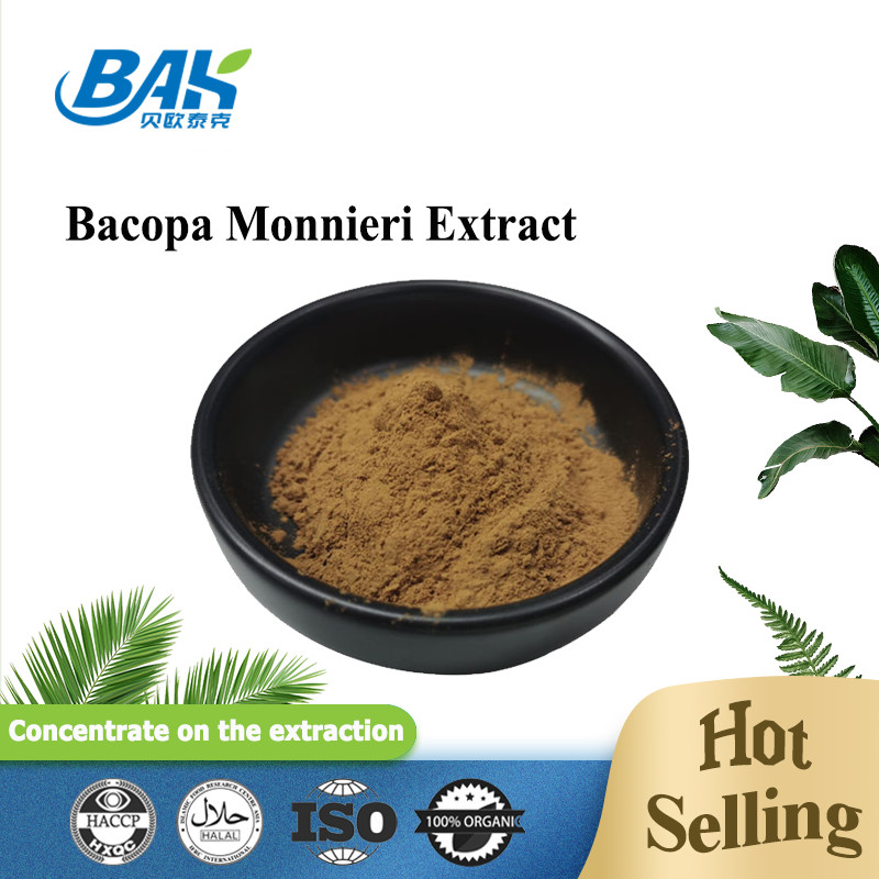 Warm verkoop HPLC UV Bacopa Monnieri Extract Bruin Geel Poeder 100% Pass 80 Mesh