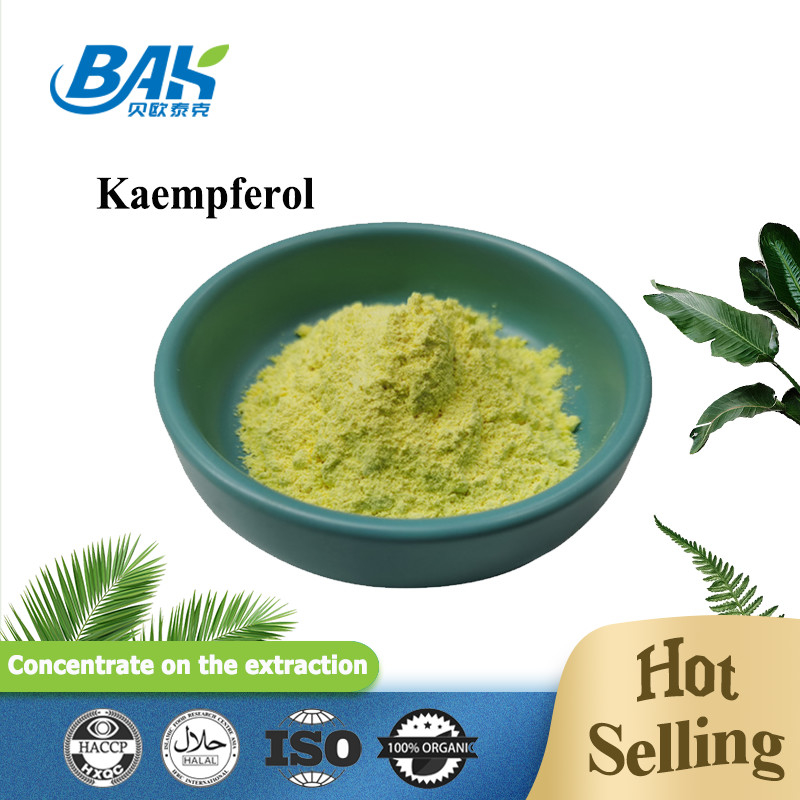BAK Hoge kwaliteit Cas 520-18-3 Immuunversterkende supplementen Kaempferol poeder 50% 90% 98%