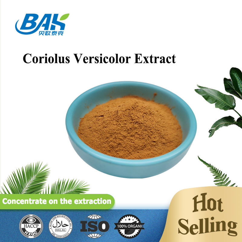10%-50% van het de Paddestoeluittreksel van Coriolous Versicolor het Supplement Bruin Geel Poeder
