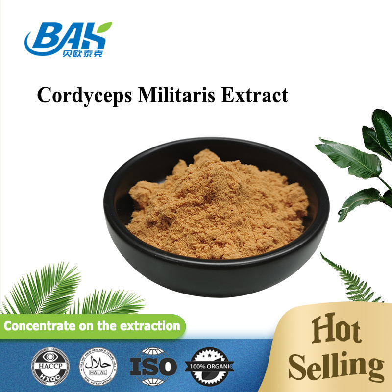 80 tot 120 Mesh Cordyceps Militaris Extract Powder Factory Supply